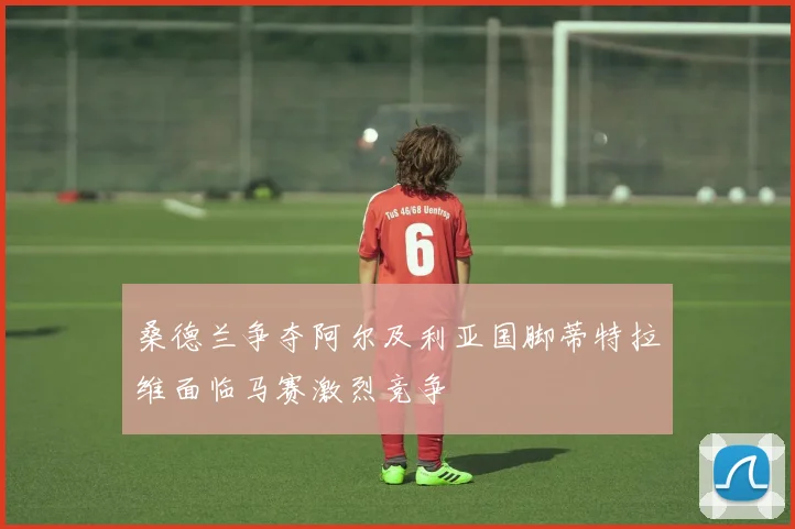 桑德兰争夺阿尔及利亚国脚蒂特拉维面临马赛激烈竞争